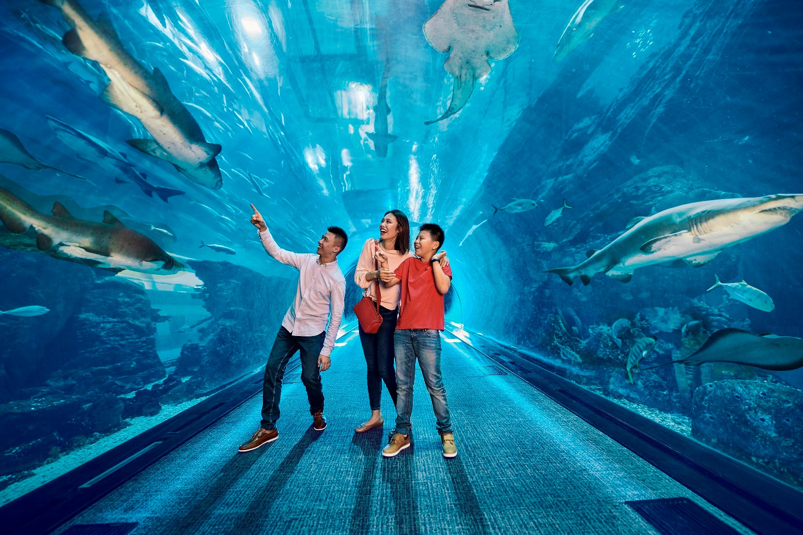 دبي أكواريوم وحديقة الحيوانات