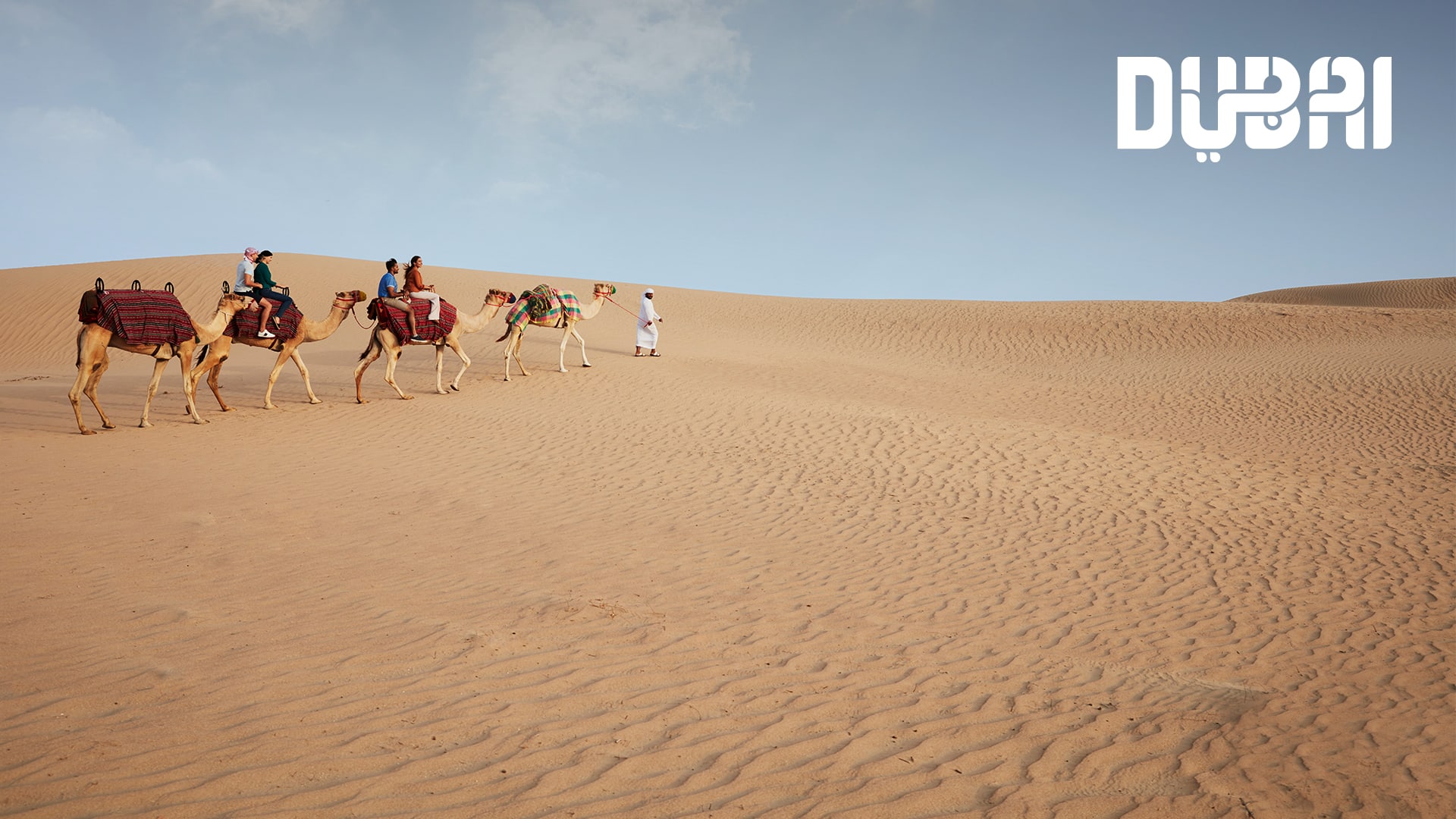 Camel riding in the desert