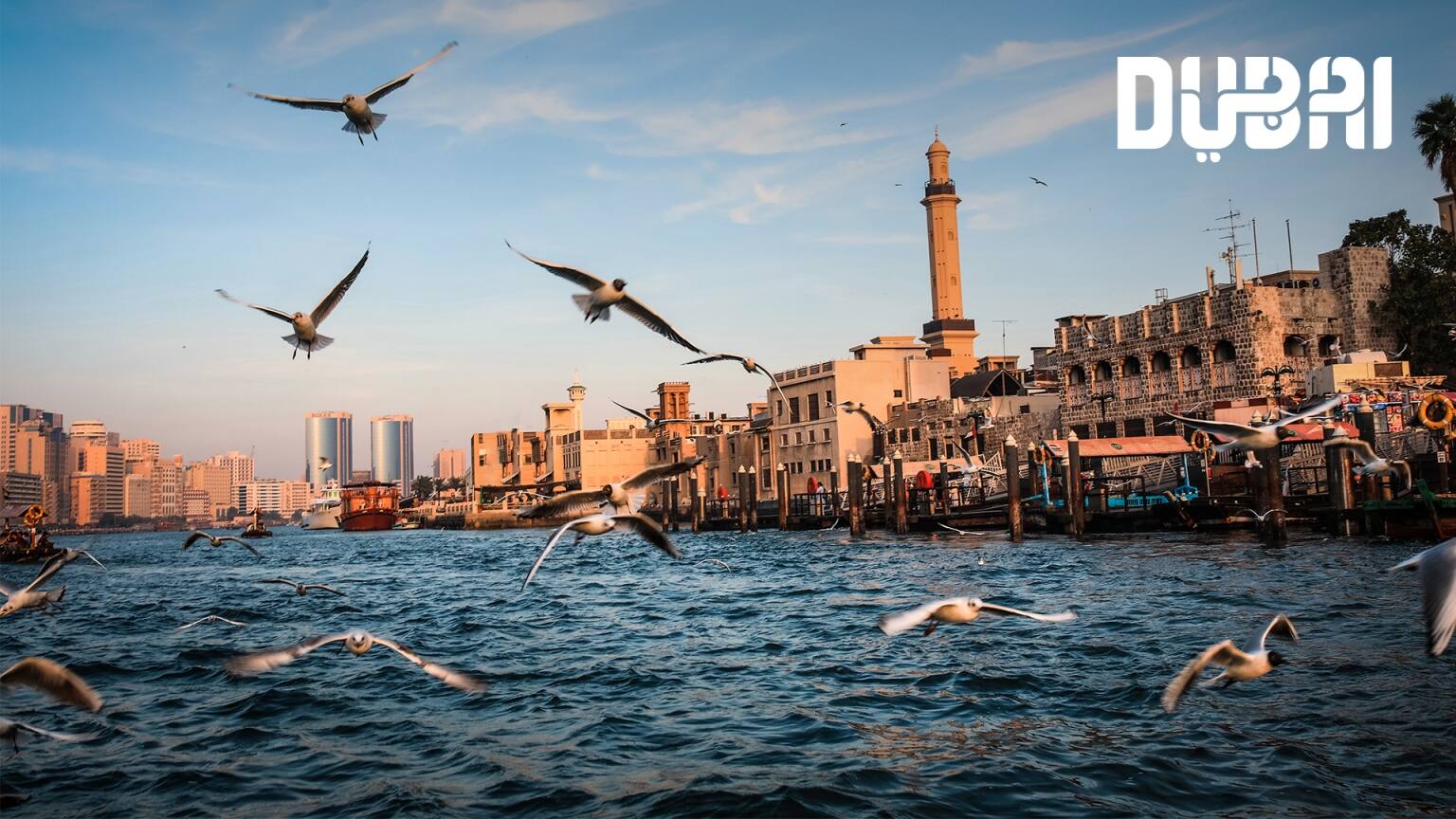 خور دبي طيور فوق الماء