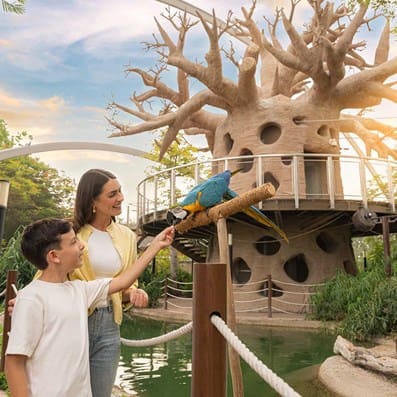 December-tourism-report-banner