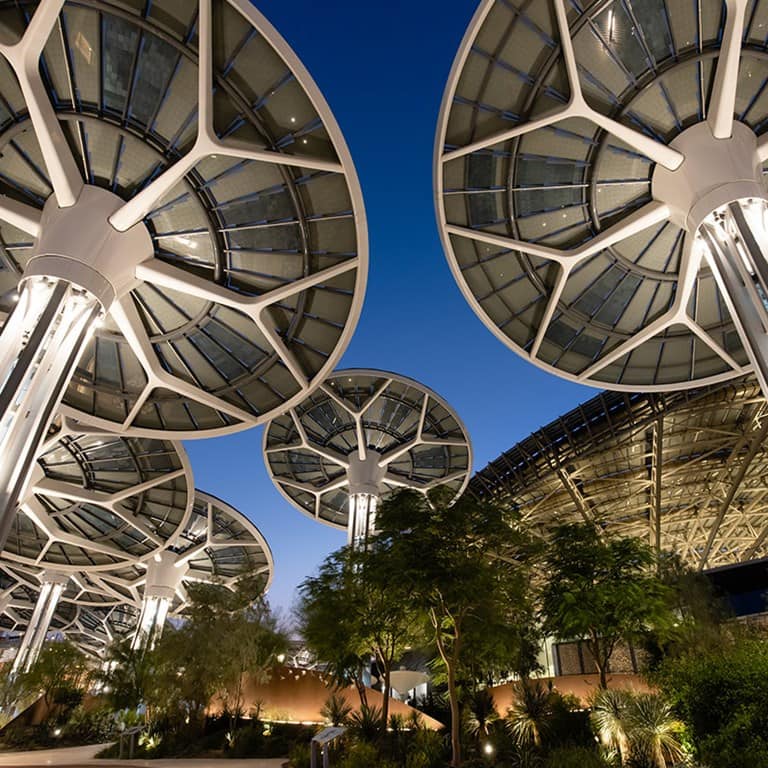 Expo-city-foundation-programme